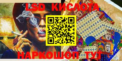PSILOCYBIN Гатчина