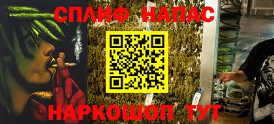 PSILOCYBIN Гатчина