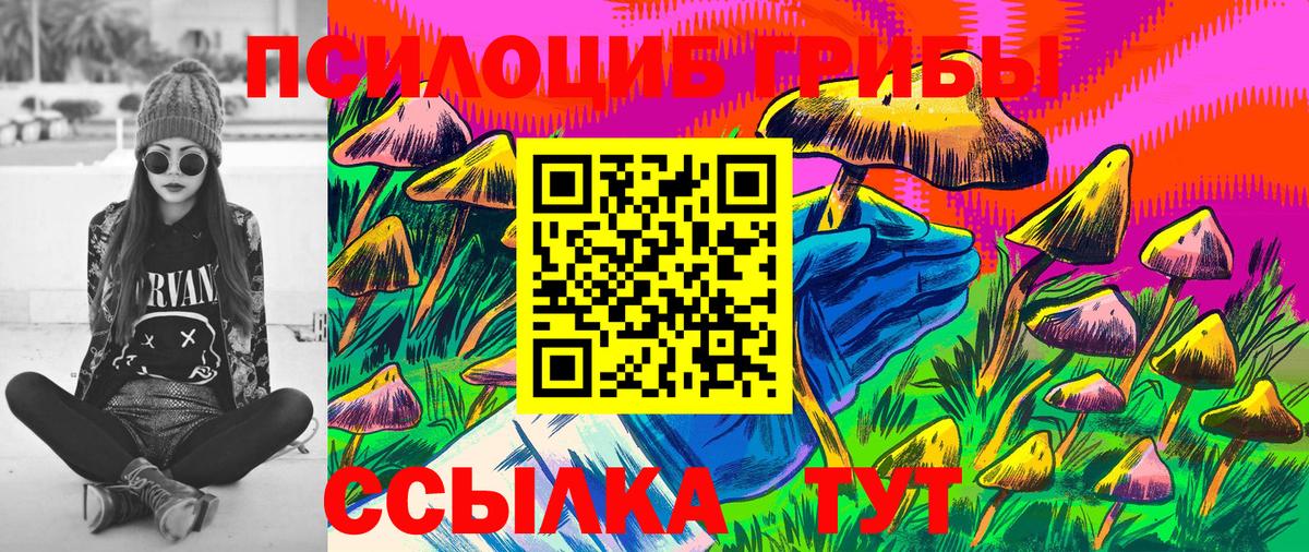 Псилоцибиновые грибы MAGIC MUSHROOMS Новоалександровск