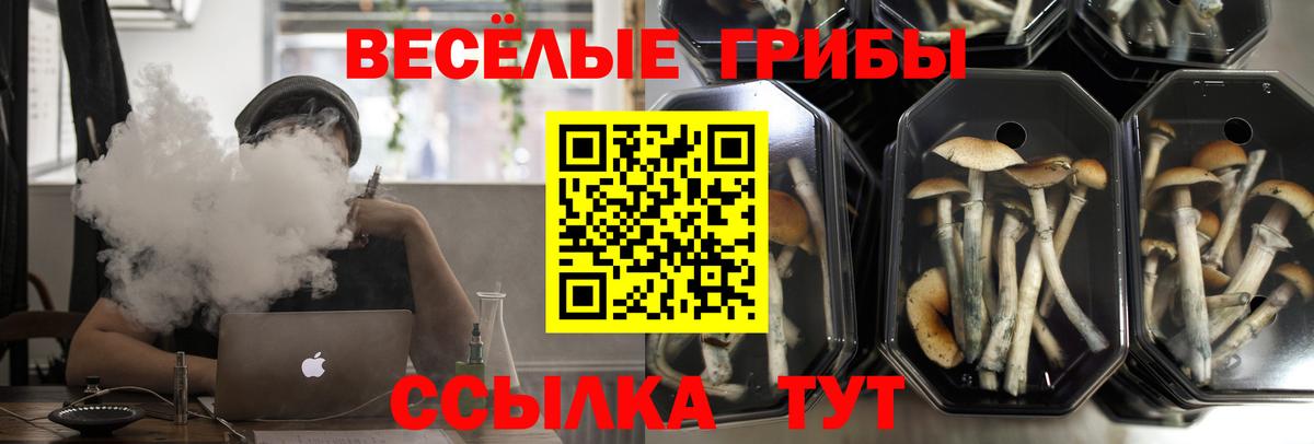 Галлюциногенные грибы ЛСД  Галлюциногенные грибы мухоморы  Новоалександровск  Вход с VPN 