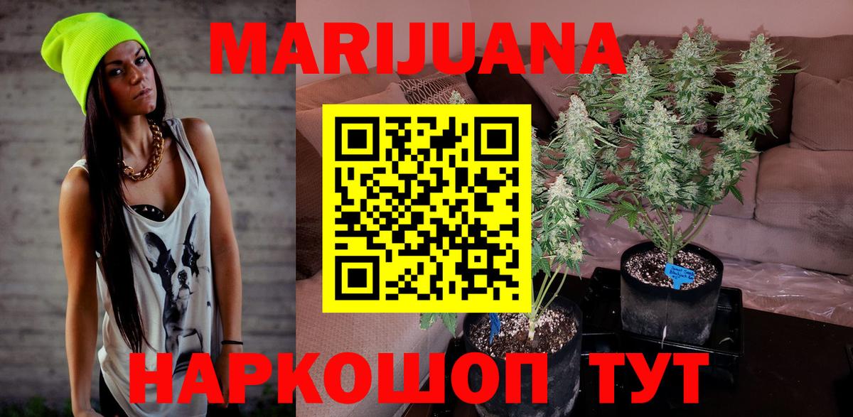Бошки Шишки ГИДРОПОН  МАРИХУАНА LSD WEED  Новоалександровск  Шишки марихуана MAZAR  Вход с VPN 